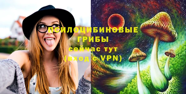 не бодяженный Алексин
