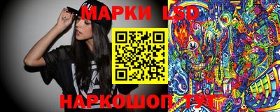 стаф Кимры