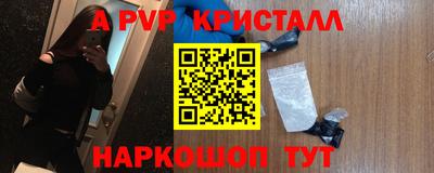 стаф Кимры
