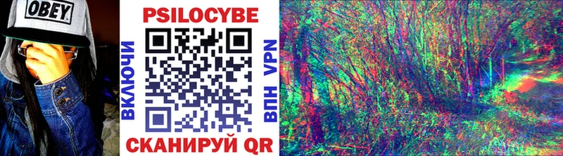 blacksprut ССЫЛКА  Коряжма  маркетплейс телеграм  Галлюциногенные грибы MAGIC MUSHROOMS 