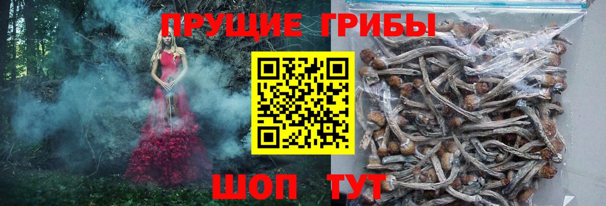 Галлюциногенные грибы ЛСД Коряжма